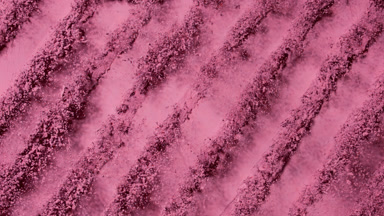 Pink Powder Burst in Slow Motion for Blush Products
