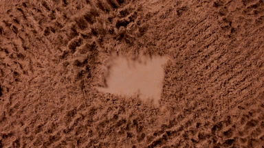 Brown Cocoa Powder Burst in Slow Motion for Ads