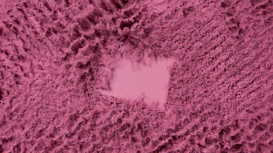 Pink Powder Burst in Slow Motion for Blush Advertisement