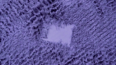 Violet Powder Burst from Below in Slow Motion