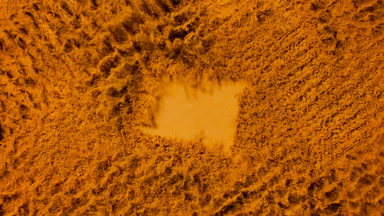 Yellow Powder Burst in Slow Motion for Cosmetic Use