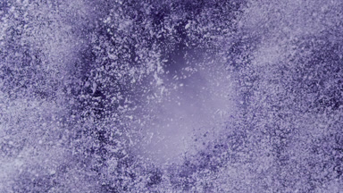 Violet Powder Burst from Behind in Slow Motion