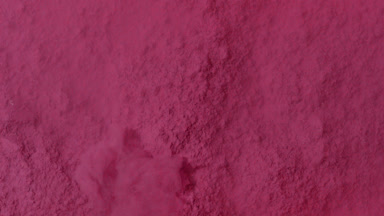 Pink Dispersion Flowing in Petri Dish from Top View