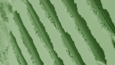 Pale Green Powder Surface with Fluid Shadows and Trails