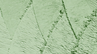 Dynamic Shadows on Pale Green Powder Surface